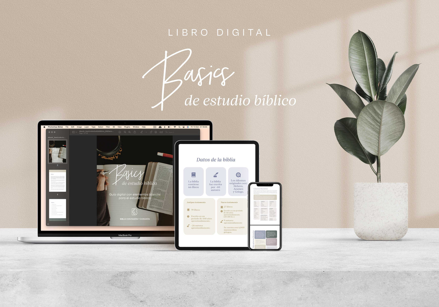 Ebook: Basics de estudio bíblico